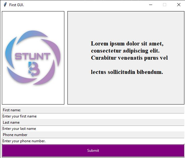 Python Tkinter Program Output
